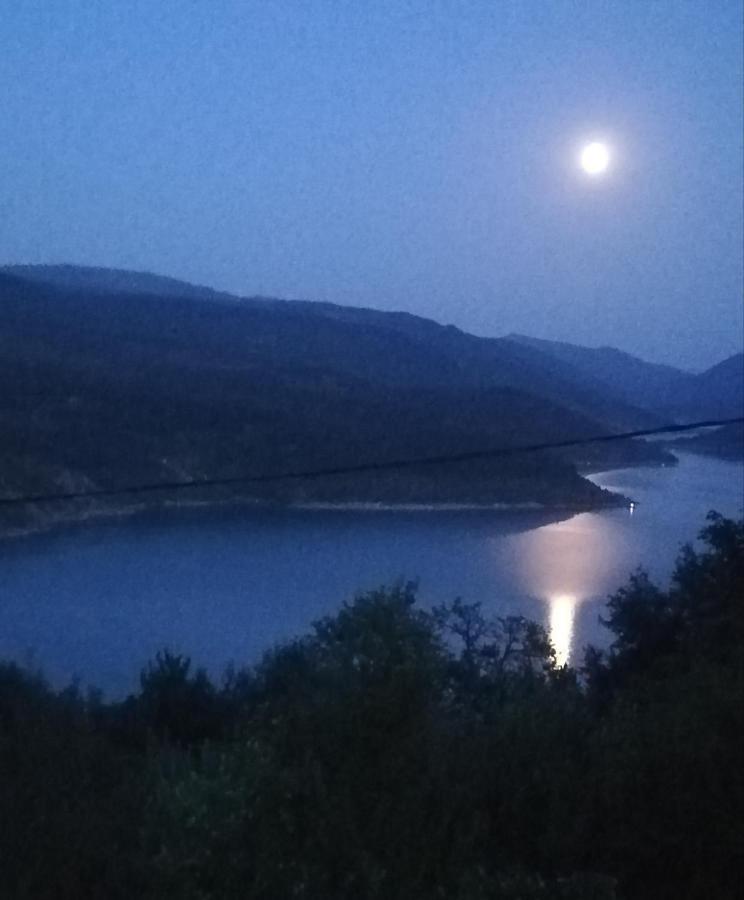 Vila Zapis - Zavojsko Jezero Pirot Eksteriør billede