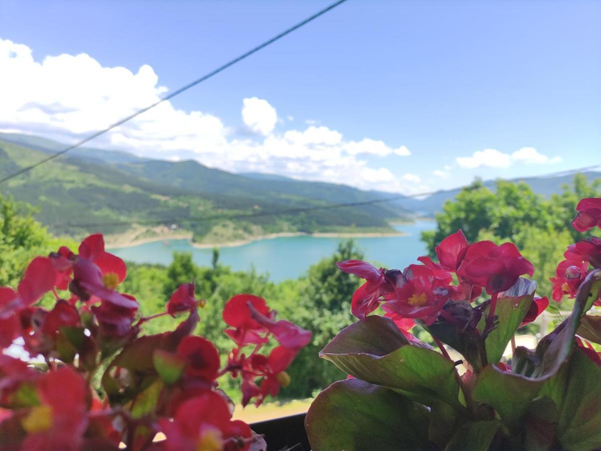 Vila Zapis - Zavojsko Jezero Pirot Eksteriør billede