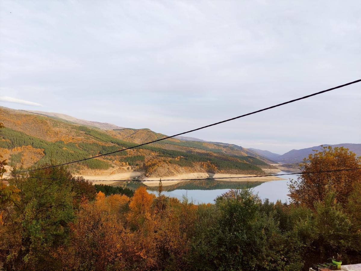 Vila Zapis - Zavojsko Jezero Pirot Eksteriør billede