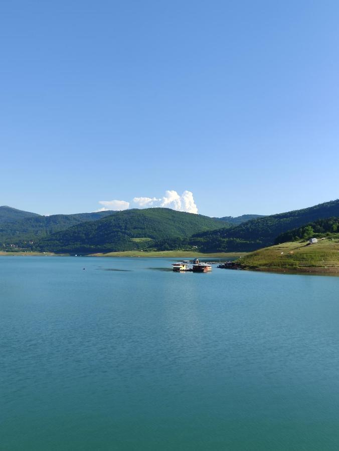 Vila Zapis - Zavojsko Jezero Pirot Eksteriør billede