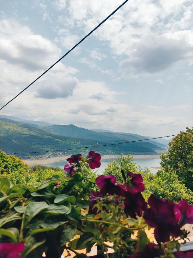 Vila Zapis - Zavojsko Jezero Pirot Eksteriør billede