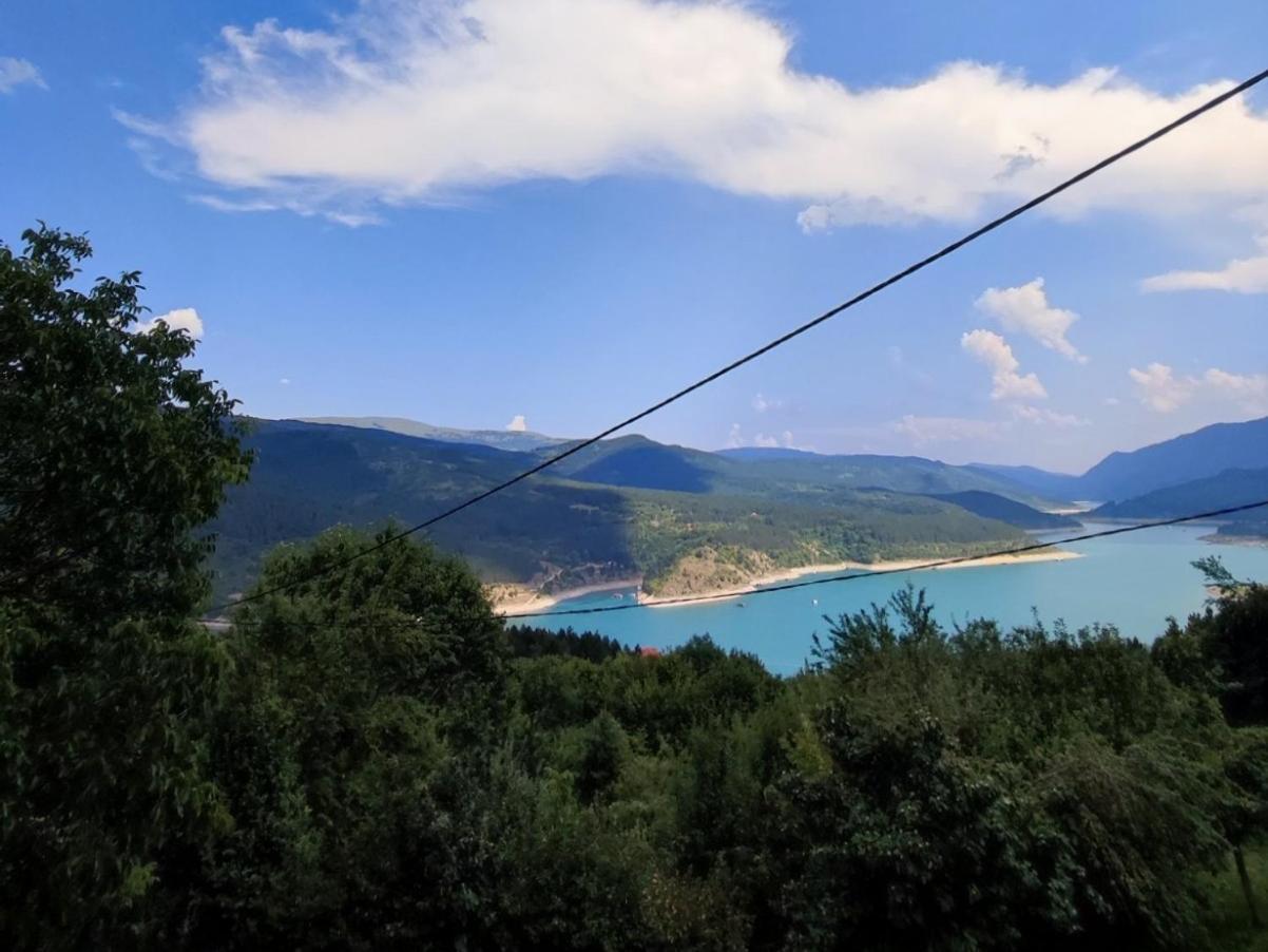 Vila Zapis - Zavojsko Jezero Pirot Eksteriør billede